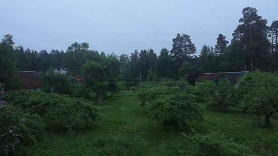 img_20260606_040118.jpg